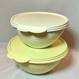 TUPPERWARE BANKRUPT!!
NWOT set of 2 Wonderlier Tupperware Bowls, 7” & 8”.